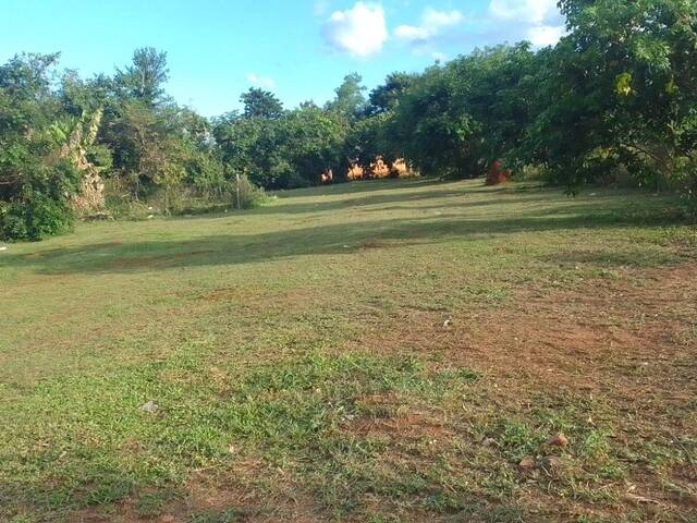 Quinta para Venta en Paso Yobay - 4